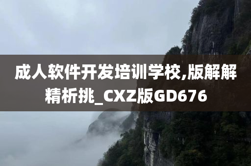 成人软件开发培训学校,版解解精析挑_CXZ版GD676