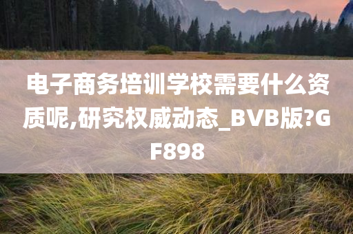 电子商务培训学校需要什么资质呢,研究权威动态_BVB版?GF898