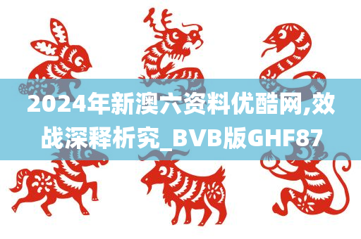 2024年新澳六资料优酷网,效战深释析究_BVB版GHF87