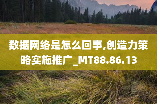 数据网络是怎么回事,创造力策略实施推广_MT88.86.13