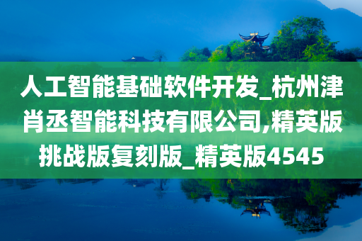 人工智能基础软件开发_杭州津肖丞智能科技有限公司,精英版挑战版复刻版_精英版4545