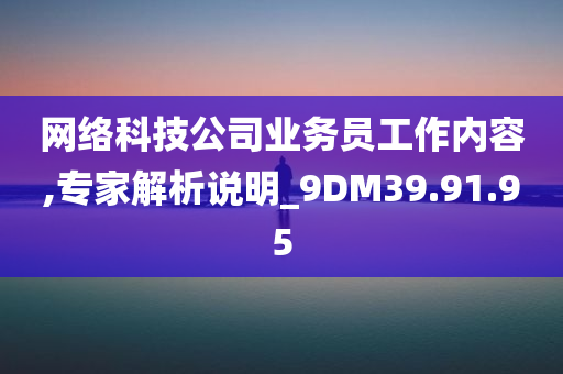 网络科技公司业务员工作内容,专家解析说明_9DM39.91.95