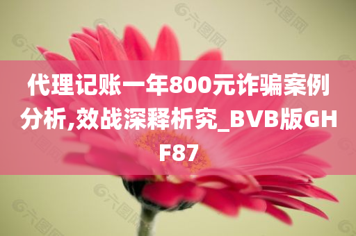 代理记账一年800元诈骗案例分析,效战深释析究_BVB版GHF87