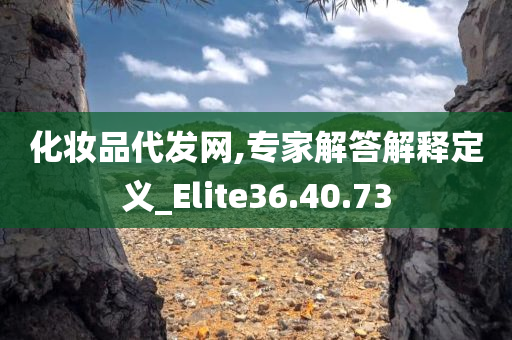 化妆品代发网,专家解答解释定义_Elite36.40.73