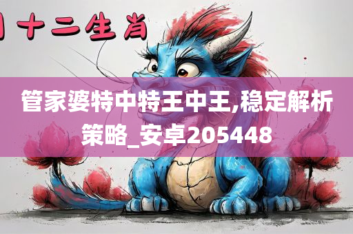 管家婆特中特王中王,稳定解析策略_安卓205448