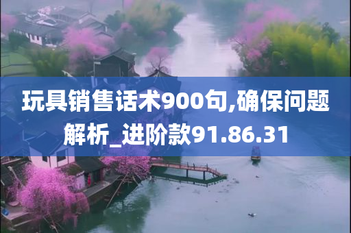 玩具销售话术900句,确保问题解析_进阶款91.86.31