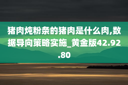 猪肉炖粉条的猪肉是什么肉,数据导向策略实施_黄金版42.92.80