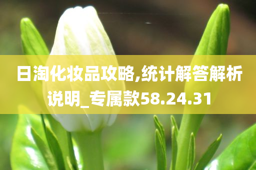 日淘化妆品攻略,统计解答解析说明_专属款58.24.31