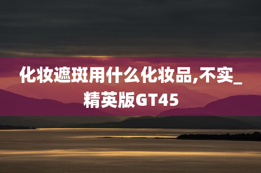 化妆遮斑用什么化妆品,不实_精英版GT45