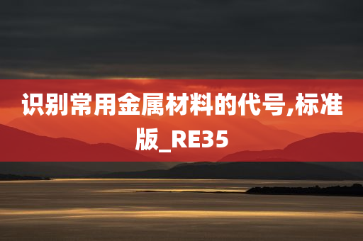 识别常用金属材料的代号,标准版_RE35