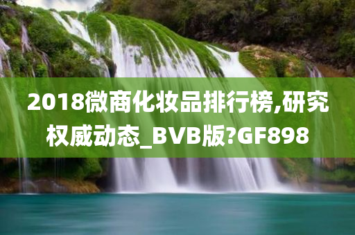 2018微商化妆品排行榜,研究权威动态_BVB版?GF898