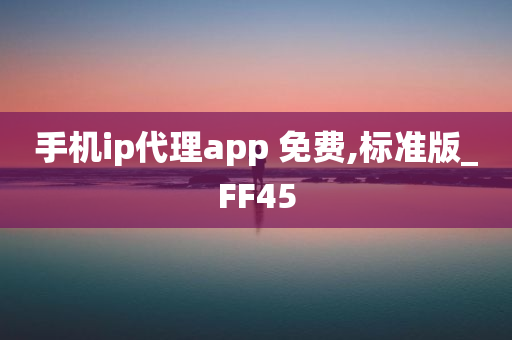 手机ip代理app 免费,标准版_FF45