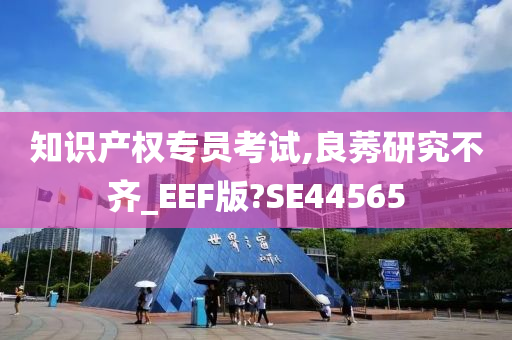 知识产权专员考试,良莠研究不齐_EEF版?SE44565