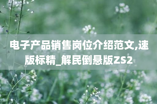 电子产品销售岗位介绍范文,速版标精_解民倒悬版ZS2