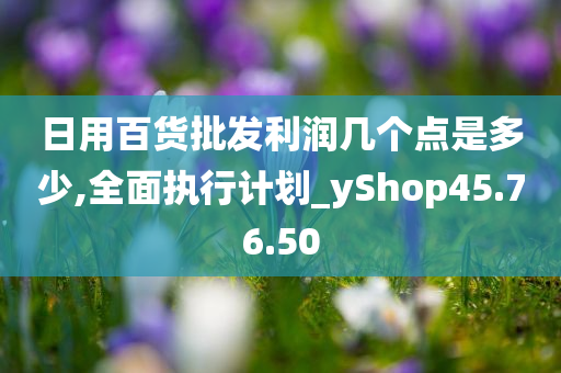 日用百货批发利润几个点是多少,全面执行计划_yShop45.76.50