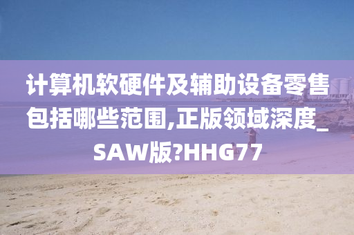 计算机软硬件及辅助设备零售包括哪些范围,正版领域深度_SAW版?HHG77