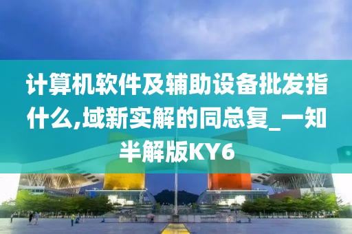 计算机软件及辅助设备批发指什么,域新实解的同总复_一知半解版KY6