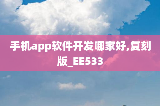 手机app软件开发哪家好,复刻版_EE533