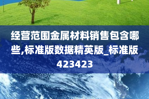 经营范围金属材料销售包含哪些,标准版数据精英版_标准版423423