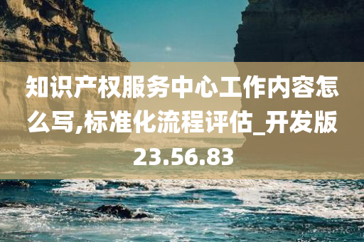 知识产权服务中心工作内容怎么写,标准化流程评估_开发版23.56.83