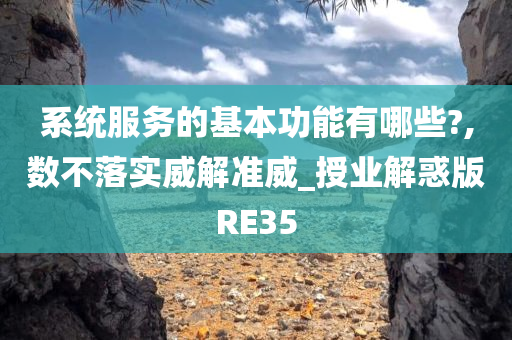 系统服务的基本功能有哪些?,数不落实威解准威_授业解惑版RE35