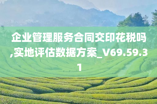 企业管理服务合同交印花税吗,实地评估数据方案_V69.59.31