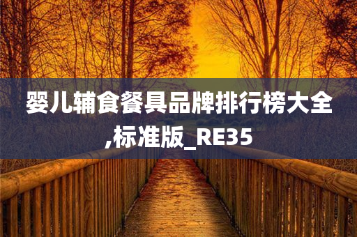 婴儿辅食餐具品牌排行榜大全,标准版_RE35