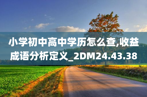 小学初中高中学历怎么查,收益成语分析定义_2DM24.43.38