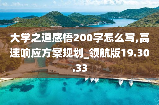 大学之道感悟200字怎么写,高速响应方案规划_领航版19.30.33