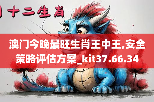 澳门今晚最旺生肖王中王,安全策略评估方案_kit37.66.34