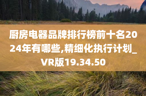 厨房电器品牌排行榜前十名2024年有哪些,精细化执行计划_VR版19.34.50