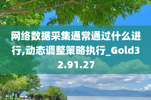 网络数据采集通常通过什么进行,动态调整策略执行_Gold32.91.27