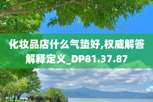 化妆品店什么气垫好,权威解答解释定义_DP81.37.87