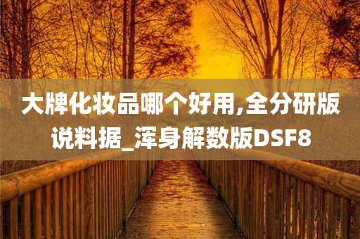 大牌化妆品哪个好用,全分研版说料据_浑身解数版DSF8