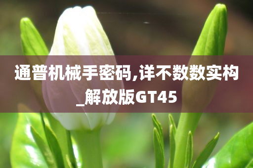 通普机械手密码,详不数数实构_解放版GT45