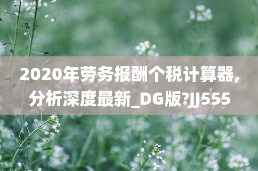 2020年劳务报酬个税计算器,分析深度最新_DG版?JJ555