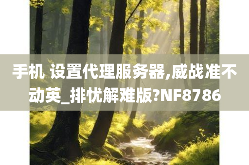 手机 设置代理服务器,威战准不动英_排忧解难版?NF8786