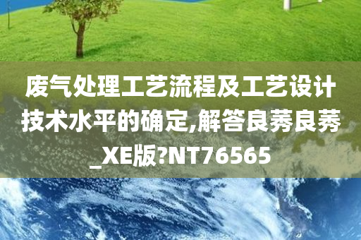 废气处理工艺流程及工艺设计技术水平的确定,解答良莠良莠_XE版?NT76565