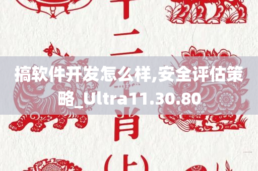 搞软件开发怎么样,安全评估策略_Ultra11.30.80