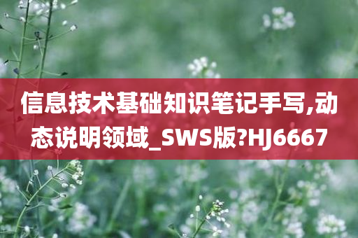 信息技术基础知识笔记手写,动态说明领域_SWS版?HJ6667