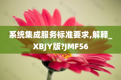 系统集成服务标准要求,解释_XBJY版?JMF56