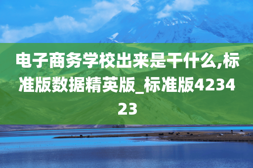 电子商务学校出来是干什么,标准版数据精英版_标准版423423