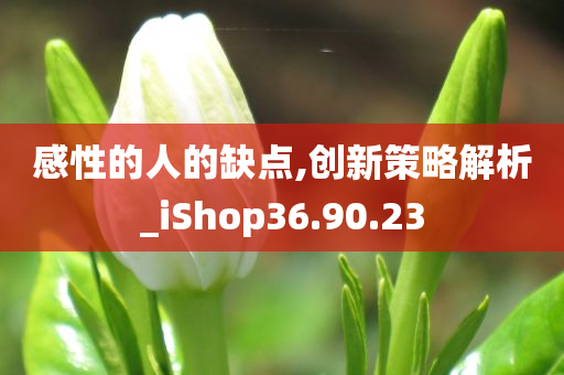 感性的人的缺点,创新策略解析_iShop36.90.23