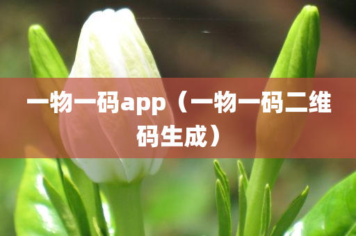 一物一码app（一物一码二维码生成）