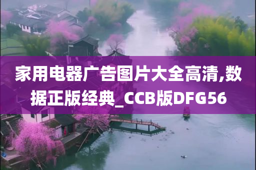 家用电器广告图片大全高清,数据正版经典_CCB版DFG56