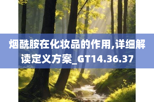 烟酰胺在化妆品的作用,详细解读定义方案_GT14.36.37