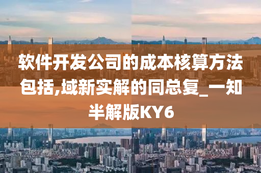 软件开发公司的成本核算方法包括,域新实解的同总复_一知半解版KY6