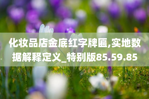 化妆品店金底红字牌匾,实地数据解释定义_特别版85.59.85