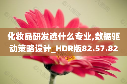 化妆品研发选什么专业,数据驱动策略设计_HDR版82.57.82