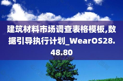 建筑材料市场调查表格模板,数据引导执行计划_WearOS28.48.80